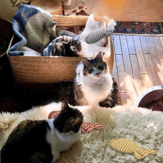 Gioco interattivo per gatti a forma di pesce con erba gatta – Da mordere, prendere a calci e con cui giocare per gatti da appartamento