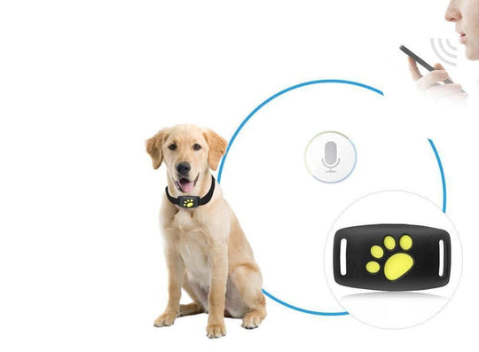 Kat GPS Volgen Halsband | Realtime Locatie Monitor Apparaat