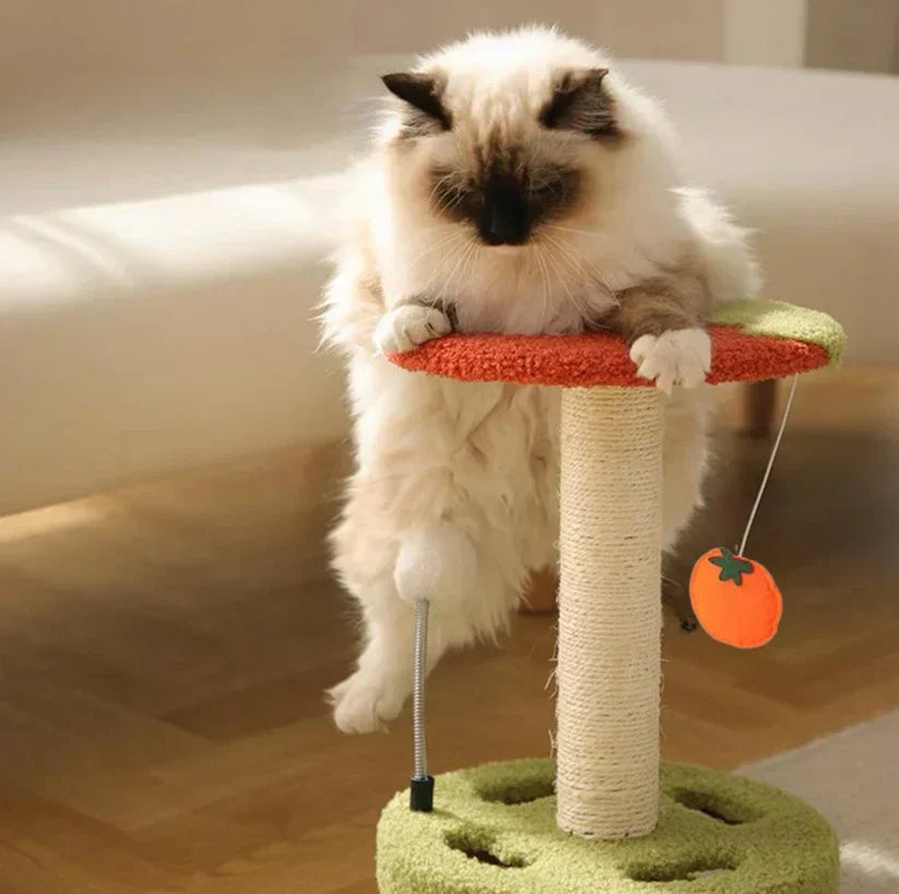 Scratch & Play Tower – Compact Scratching Fun for Every Cat