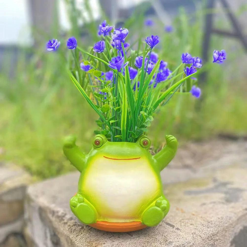 Vaso sospeso per piante grasse