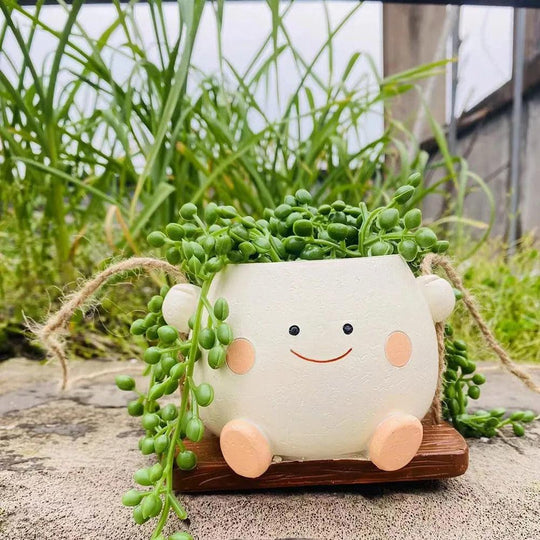 Vaso sospeso per piante grasse