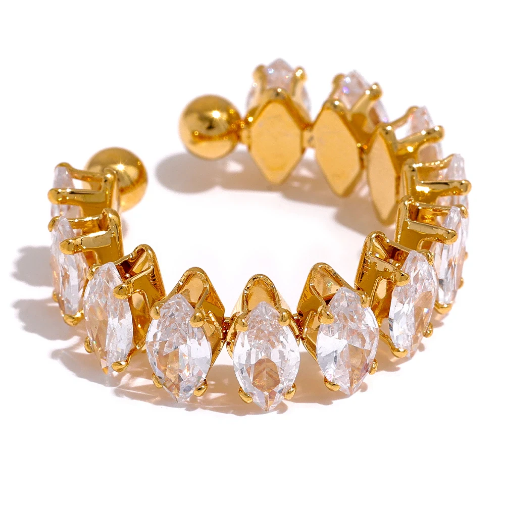 Anello di lusso lucido