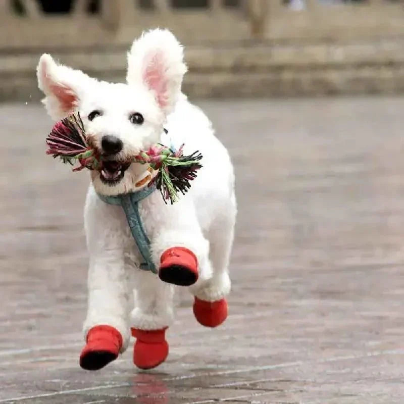 Hondenschoenen Winter – Waterdicht met Antislipzool
